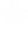 Logo MVM